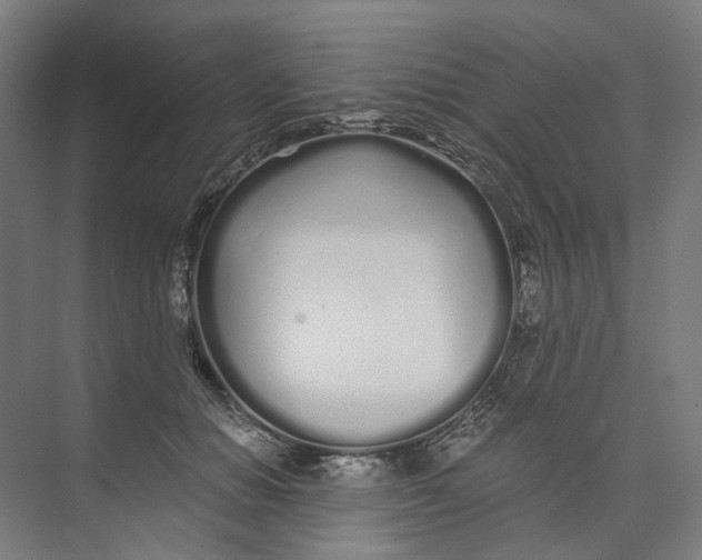 X0000073510654200608281708