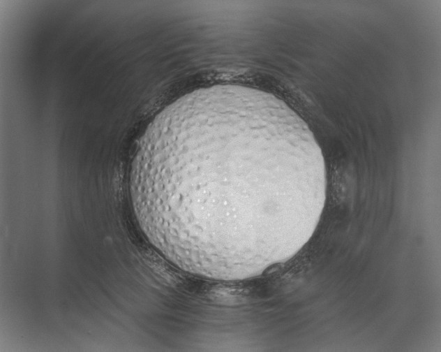 X0000073510657200608281708