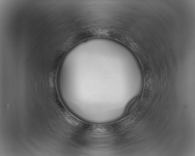 X0000073510658200608281708