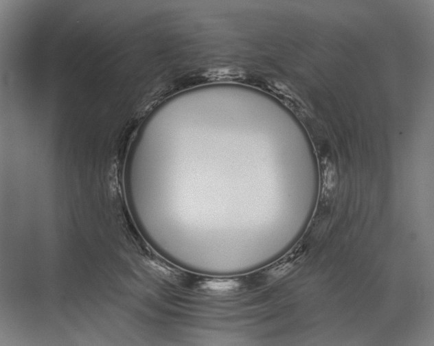 X0000073510659200608281708