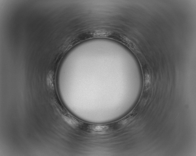 X0000073510663200608281708