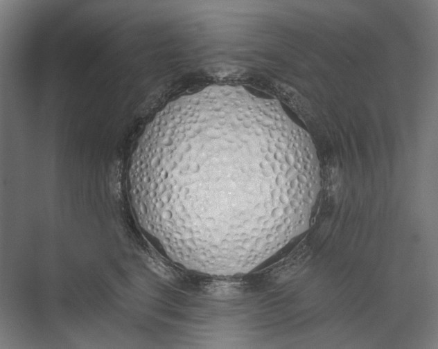 X0000073510664200608281708