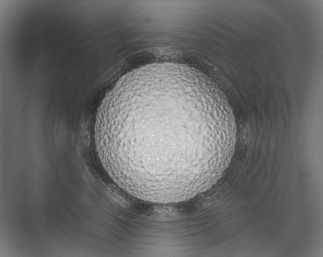 X0000073510666200608281708