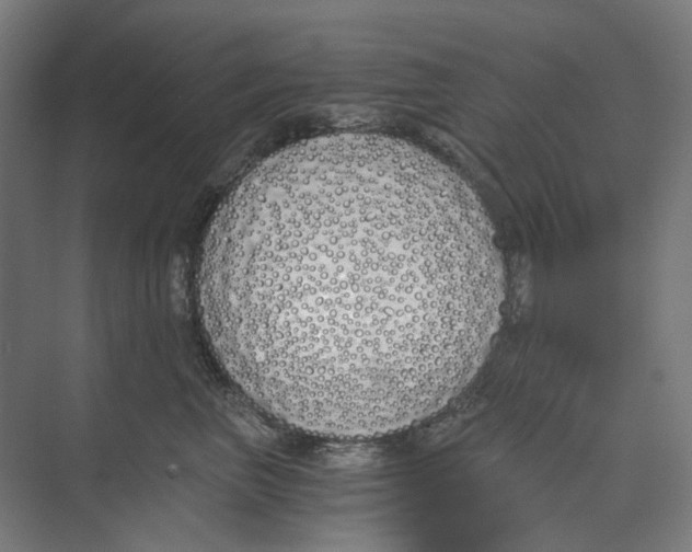 X0000073510667200608281708