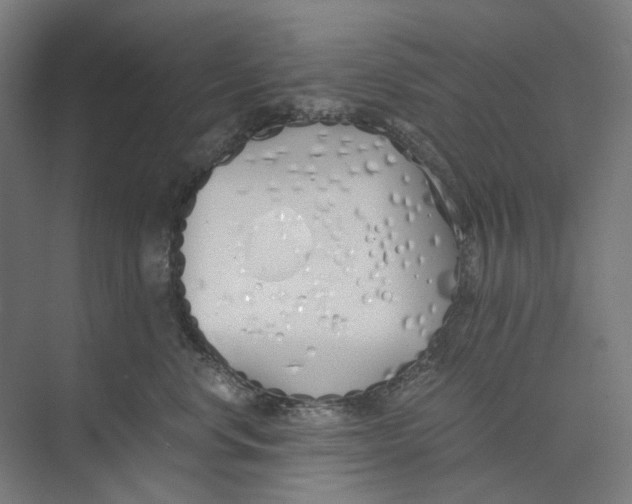 X0000073510668200608281708
