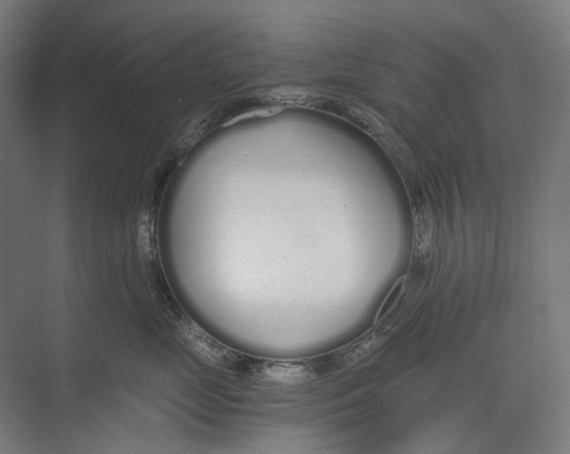 X0000073510669200608281708