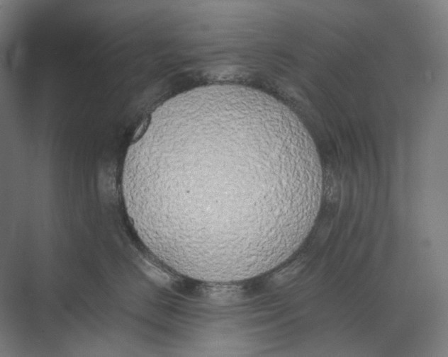 X0000073510670200608281709