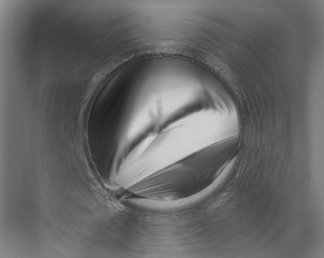 X0000073510673200608281708