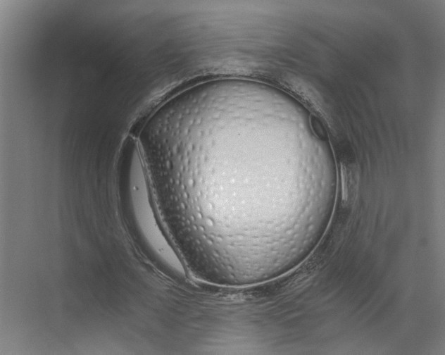 X0000073510675200608281708