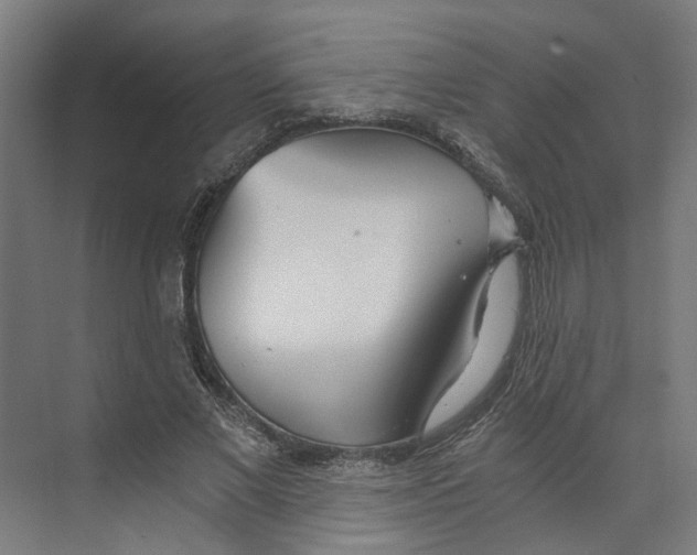 X0000073510685200608281708