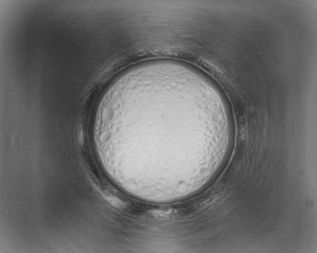 X0000073510687200608281707