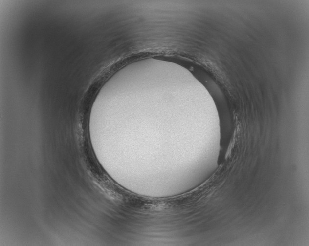X0000073510688200608281707