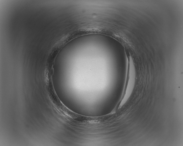 X0000073510692200608281707