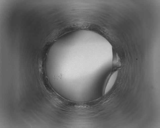 X0000073510693200608281707