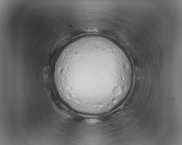 X0000073510695200608281707