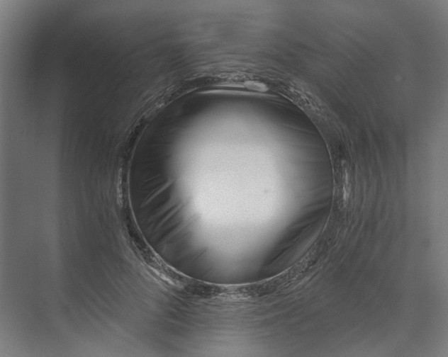 X0000073510696200608281707