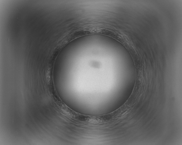 X0000073510697200608281707