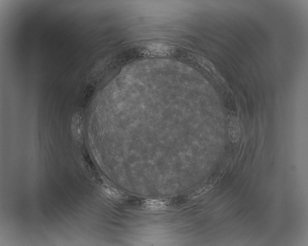 X0000073510701200608281707