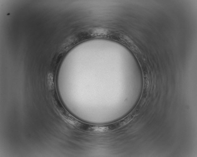 X0000073510711200608281707