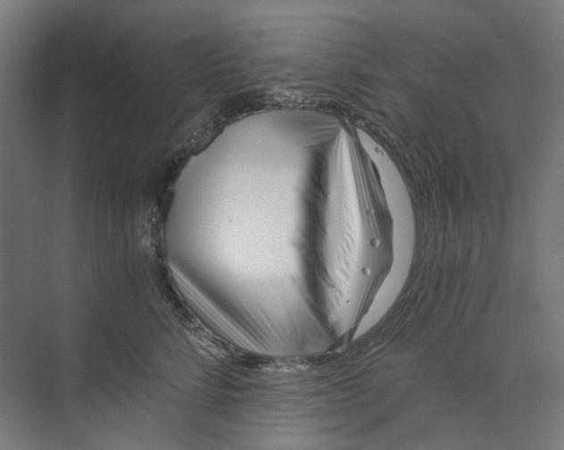 X0000073510712200608281707