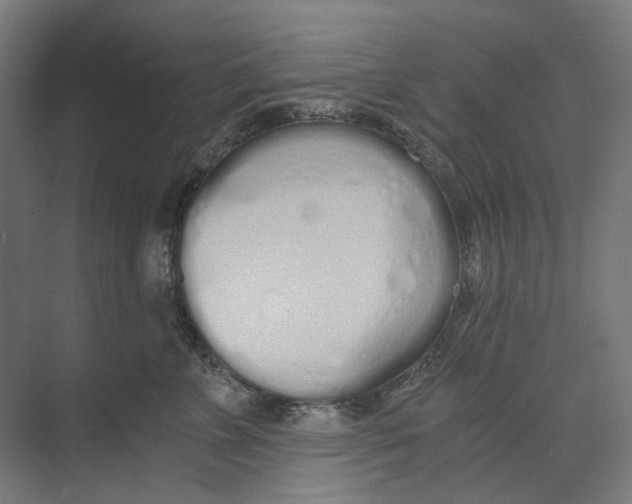 X0000073510715200608281707