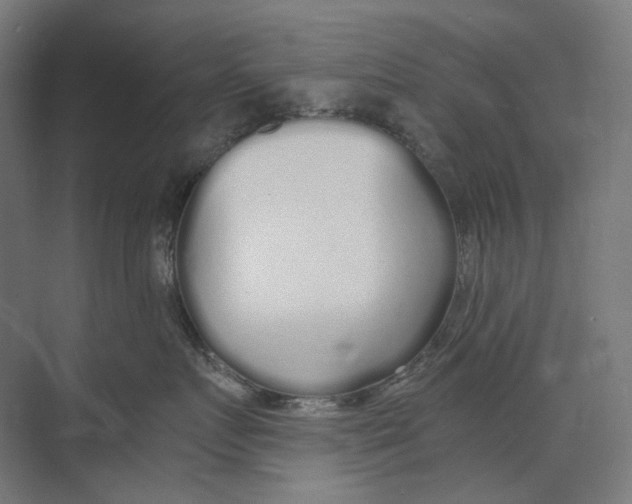 X0000073510719200608281707