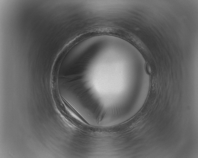 X0000073510722200608281706