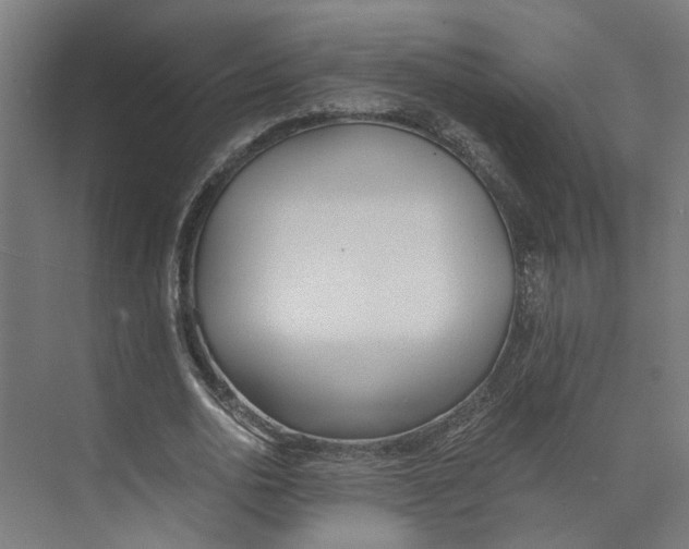 X0000073510726200608281706