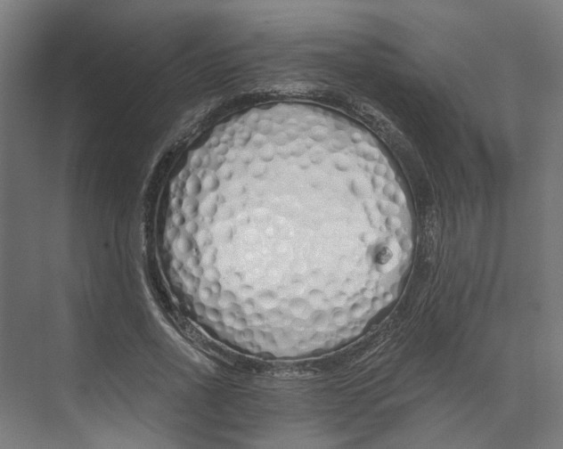 X0000073510734200608281706