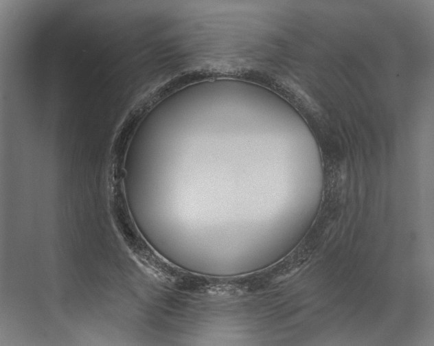X0000073510736200608281706