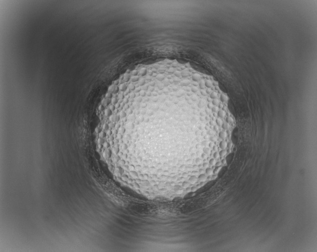X0000073510737200608281706