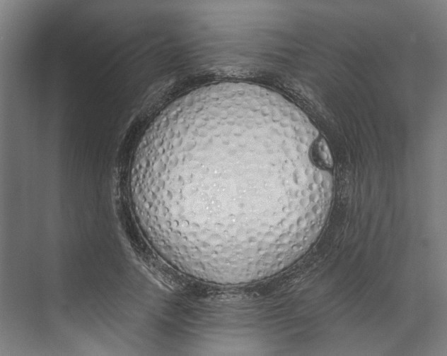 X0000073510738200608281706