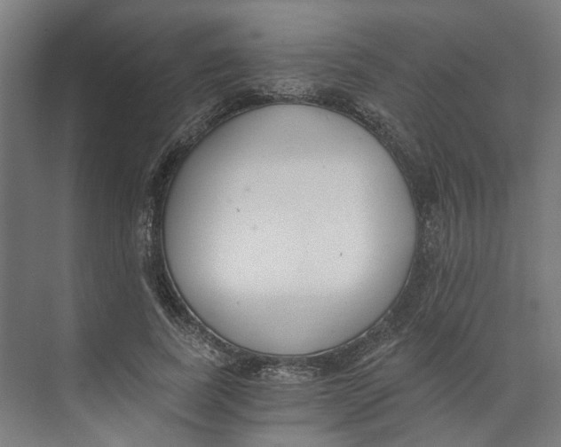 X0000073510739200608281706