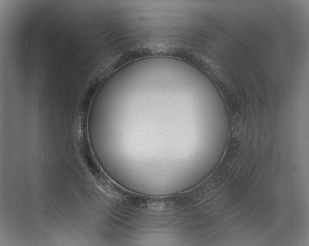 X0000073510740200608281706