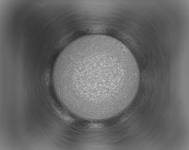 X0000073510741200608281706
