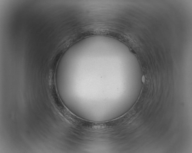 X0000073510744200608281707
