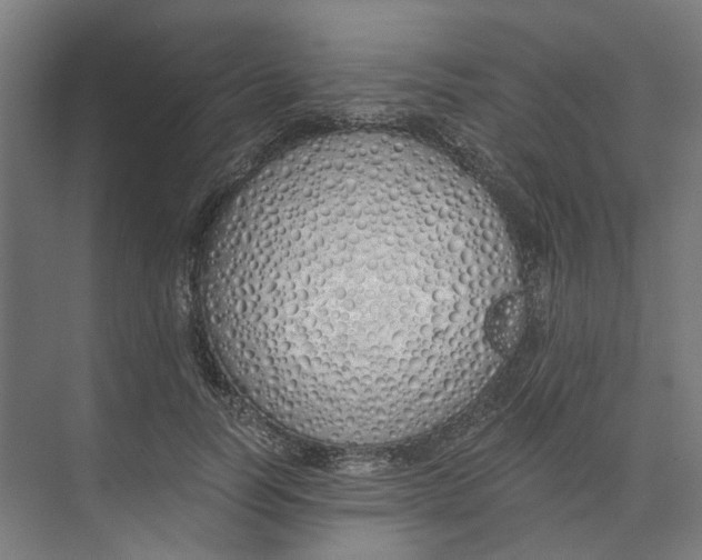 X0000073510746200608281707