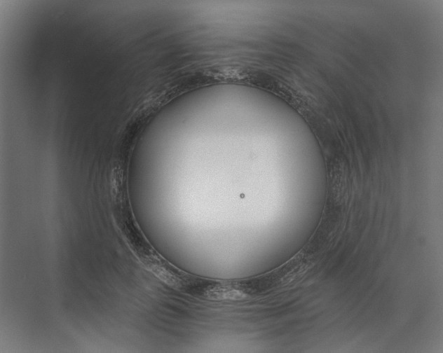 X0000073510747200608281707