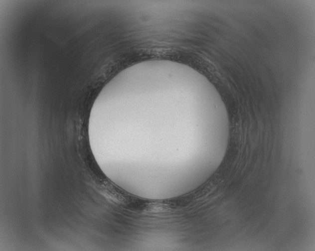 X0000073510750200608281707