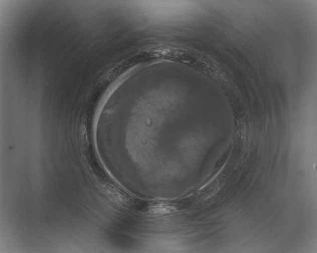 X0000073510754200608281707