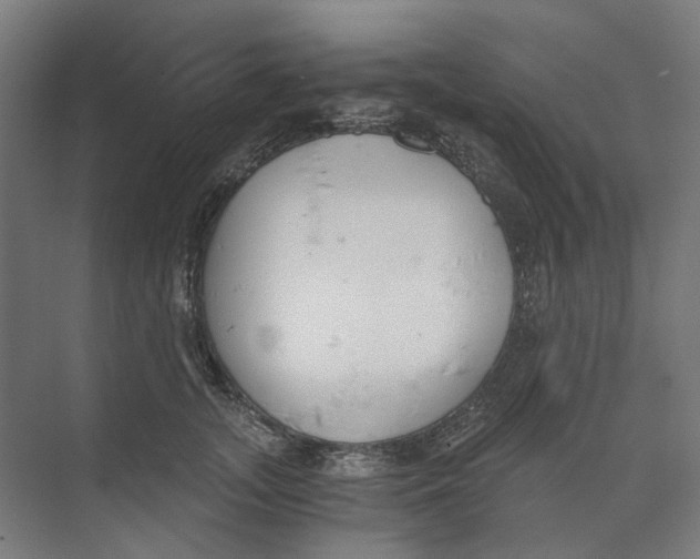 X0000073510755200608281707