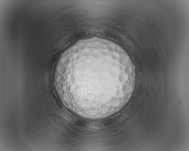 X0000073510757200608281707