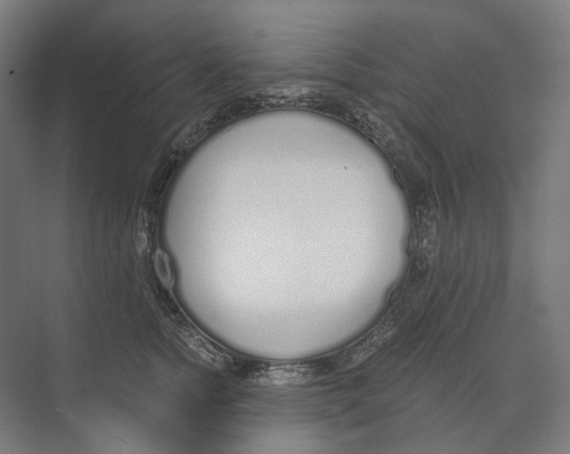 X0000073510758200608281707