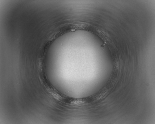 X0000073510759200608281707