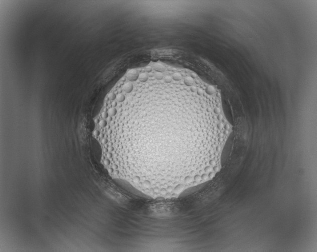 X0000073510761200608281707