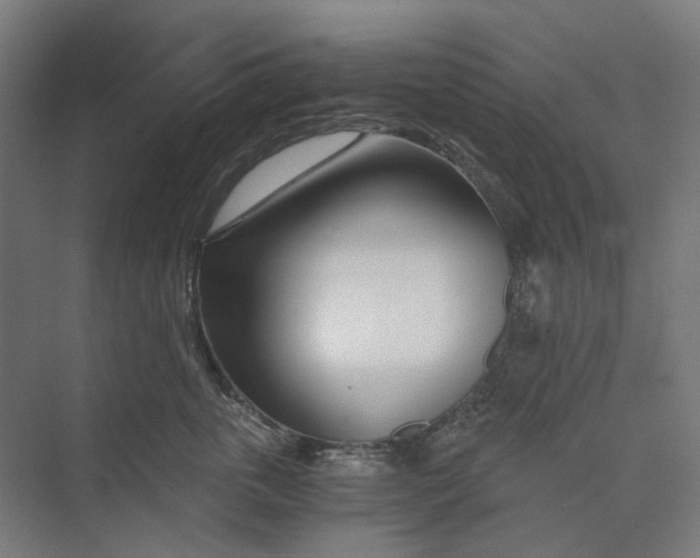 X0000073510763200608281707