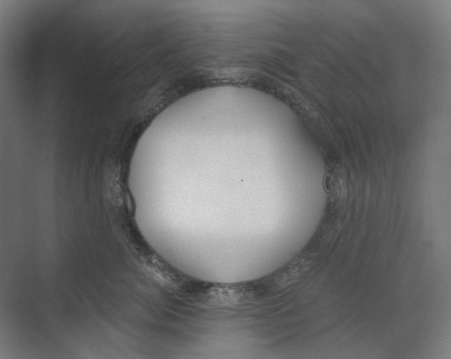 X0000073510764200608281707