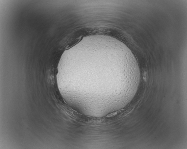 X0000073510771200608281706