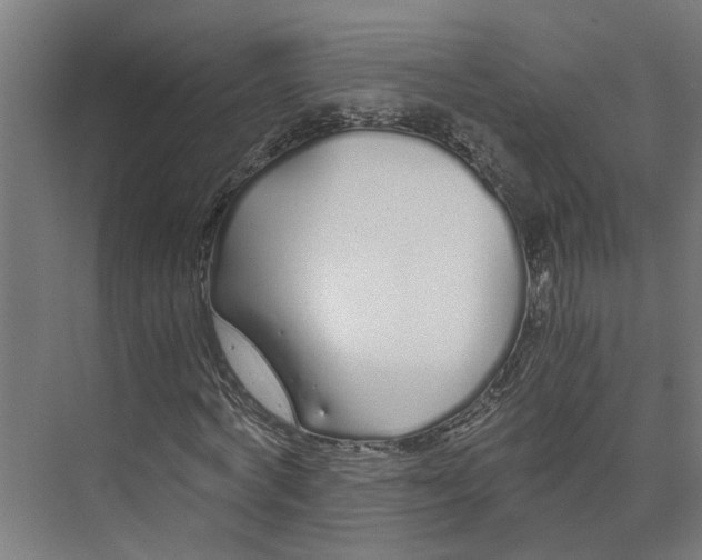 X0000073510772200608281706