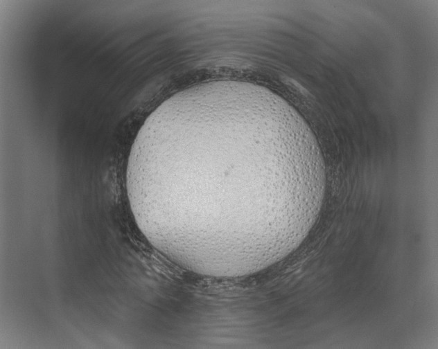 X0000073510774200608281706